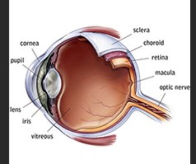 eye diagram